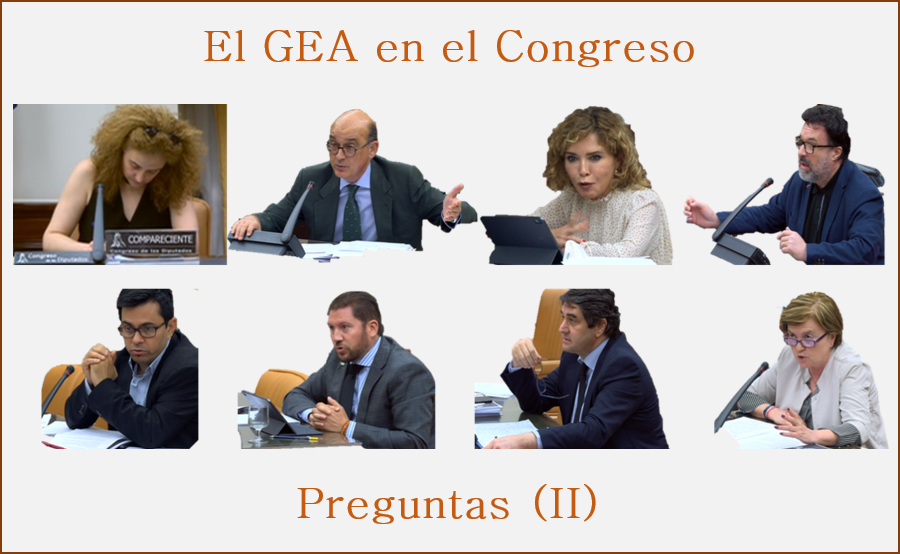 El GEA en el Congreso (II): Preguntas